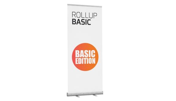 Rollup Basic