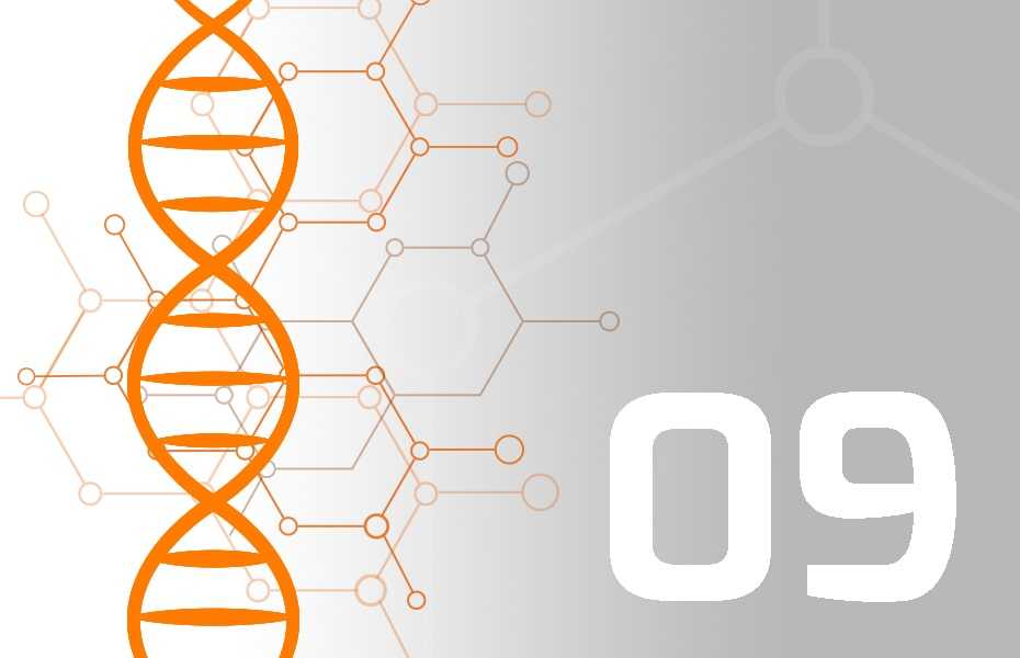 Messe-DNA: Reaktionsanalyse - Teil 9