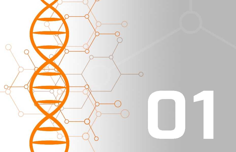 Messe DNA: Digitaler Messe-Guide 3.0 für Aussteller - Teil 1